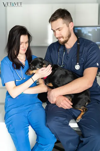 Przychodnia Weterynaryjna Vet&Vet